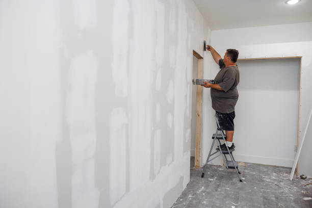 Best Mold Odor Removal Services  in Ajo, AZ
